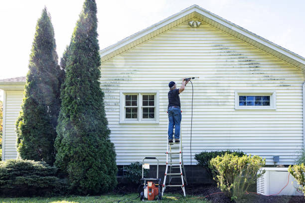 Best Pressure Washing Driveway  in Swartz Creek, MI
