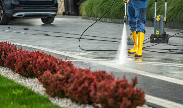 Best Pressure Washing Services Near Me  in Swartz Creek, MI