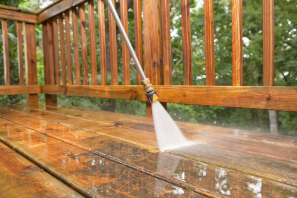 Best Concrete Pressure Washing  in Swartz Creek, MI