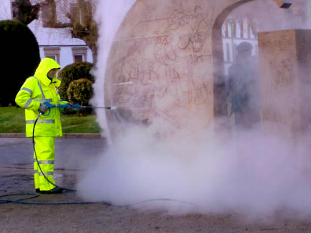 Best Fence Pressure Washing  in Swartz Creek, MI